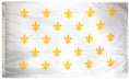 Load image into Gallery viewer, 23 French Fleur-De-Lis Flag