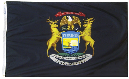 Michigan Flag