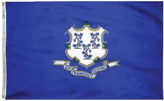 Connecticut Flag