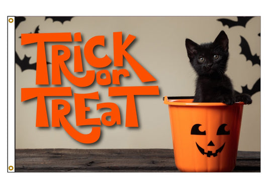 Black Cat Trick or Treat